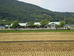 稲生保育園