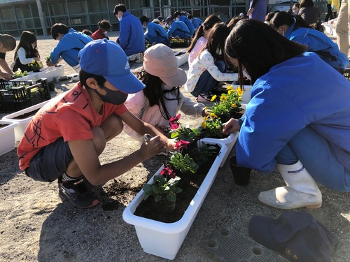農業高校の生徒の皆さんと花の苗を植える様子