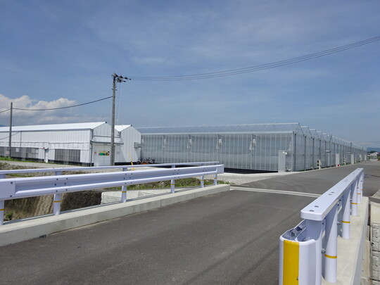 はぐみ農園ハウス（外観2）