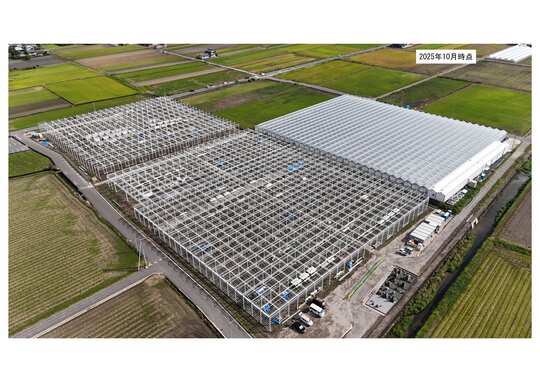 下村青果商会ハウス（R7.10時点）