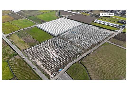 下村青果商会ハウス（R7.10時点）