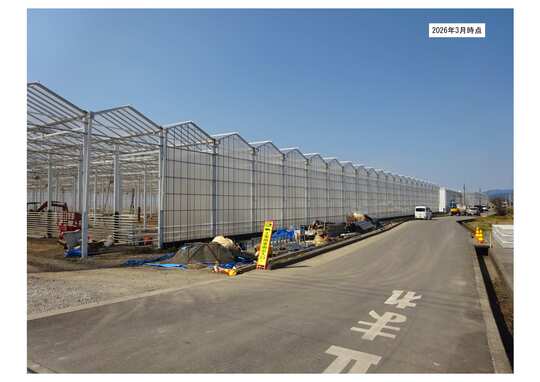 下村青果商会ハウス（R7.10時点）