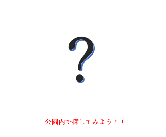 ボオ氏