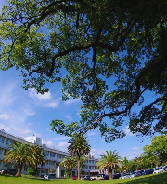 農林海洋科学部