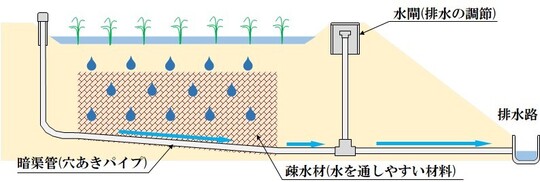 暗渠（あんきょ）排水（図面）