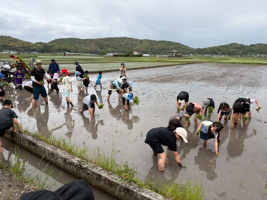 田植え(1)