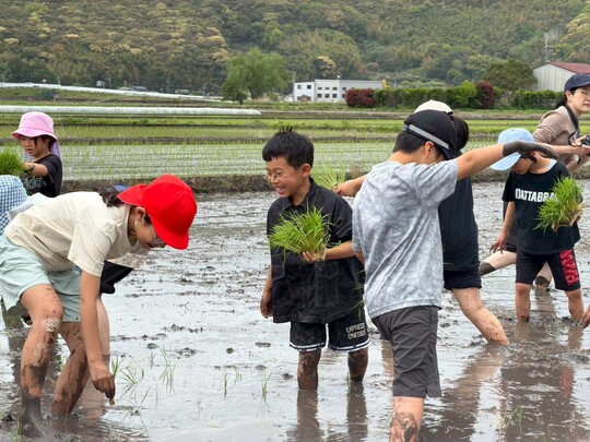田植え(2)