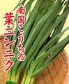 葉ニンニク画像