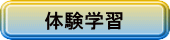 体験学習