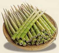 竹ザルに入れた四方竹の画像